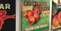 瑞德控股代表客户与澳洲罐头品牌商洽谈合作