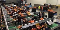 A great visit to a large fruit farm 