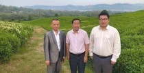 Zhongren Group health project