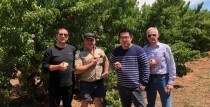 澳大利亚瑞德控股农场考察之旅